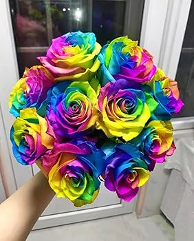 raibow-rose Rainbow Rose Bouquet
